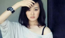 战菁一演过的电视剧,从人民的名义到隐秘而伟大的蜕变之路