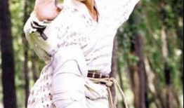 樊少皇电视剧全集古装,穿越时空的华丽演绎