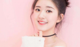 网红的明星,闪耀网络，引领潮流的璀璨之星